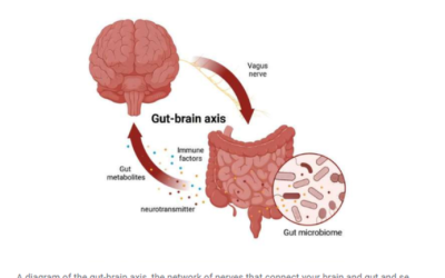 Researchers Identify Bacterial Infection Tied to Alzheimer’s